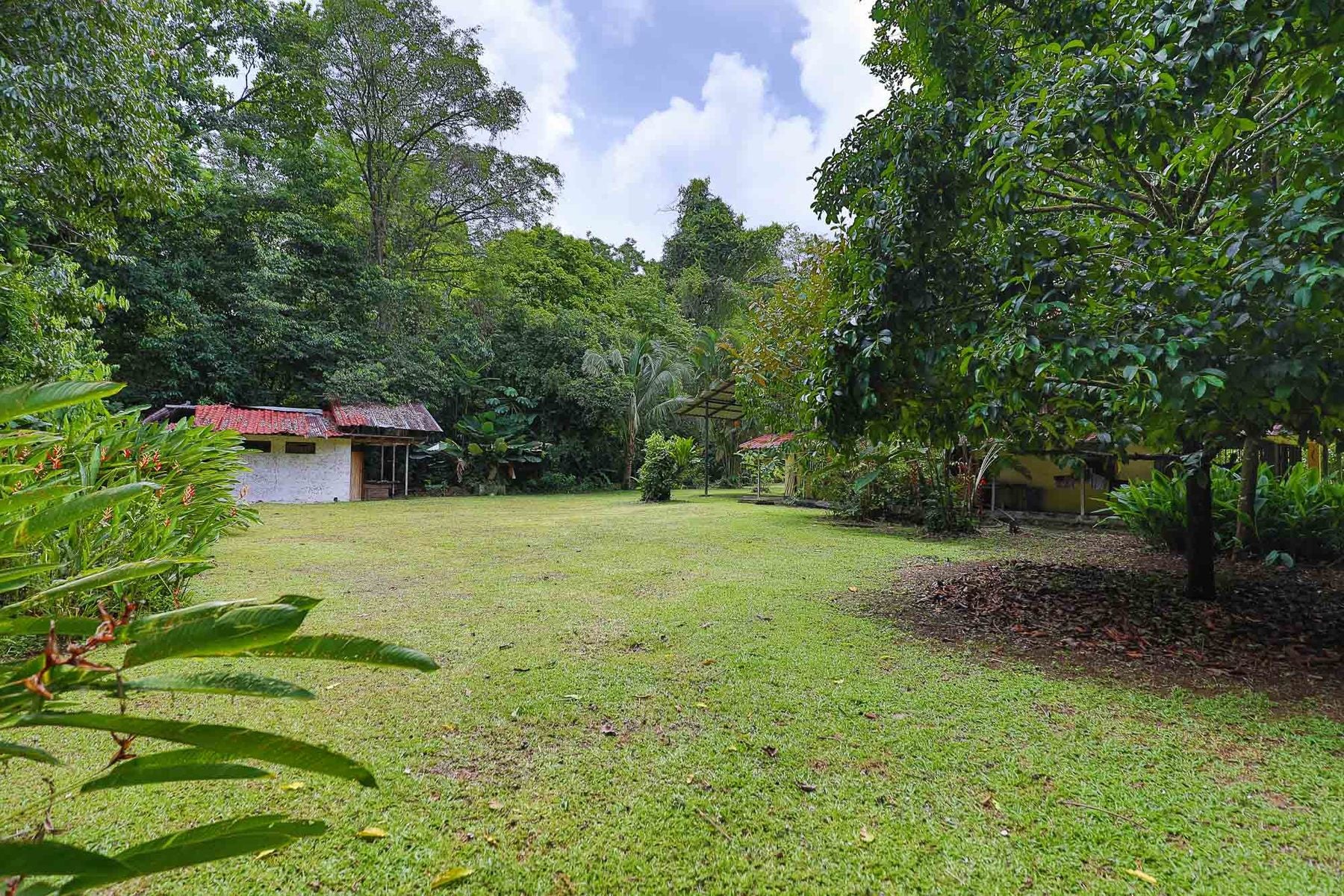 Tropical Riverfront Paradise — photo 17 of 19