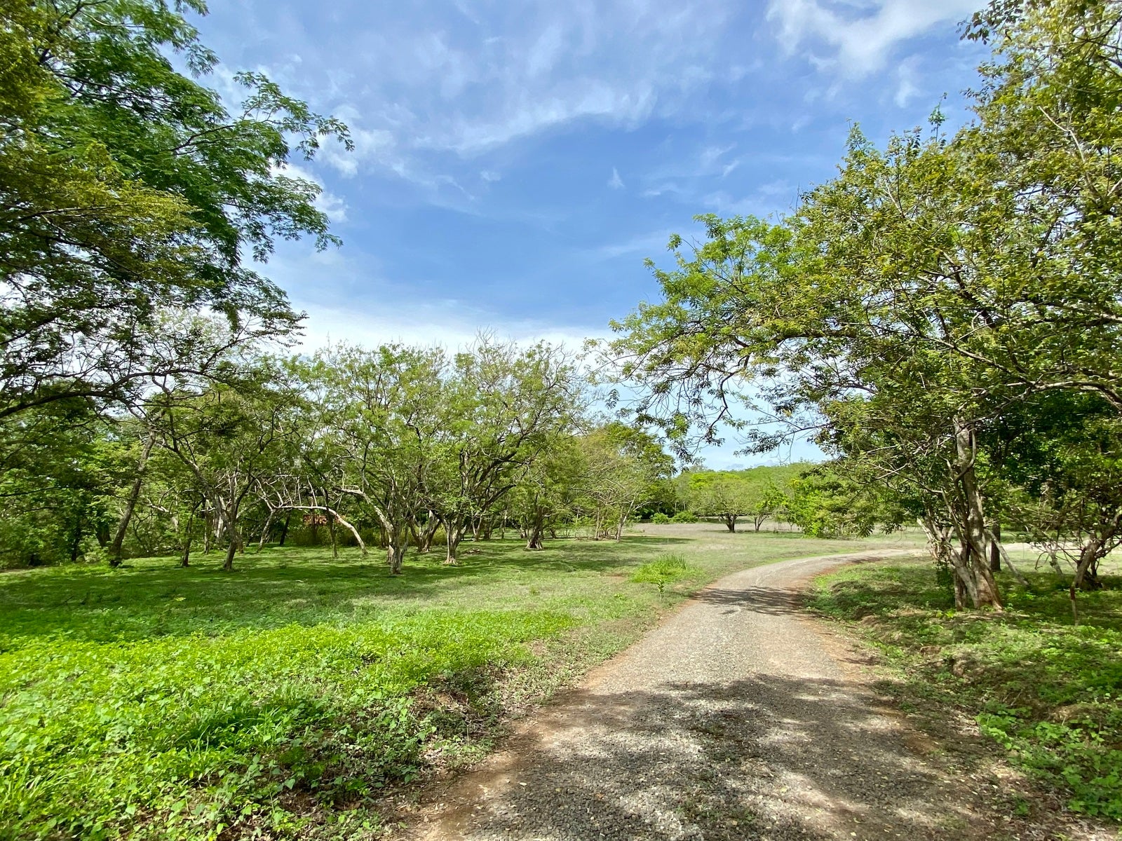 Altos Los Robles Community, #44 — foto 3 de 19