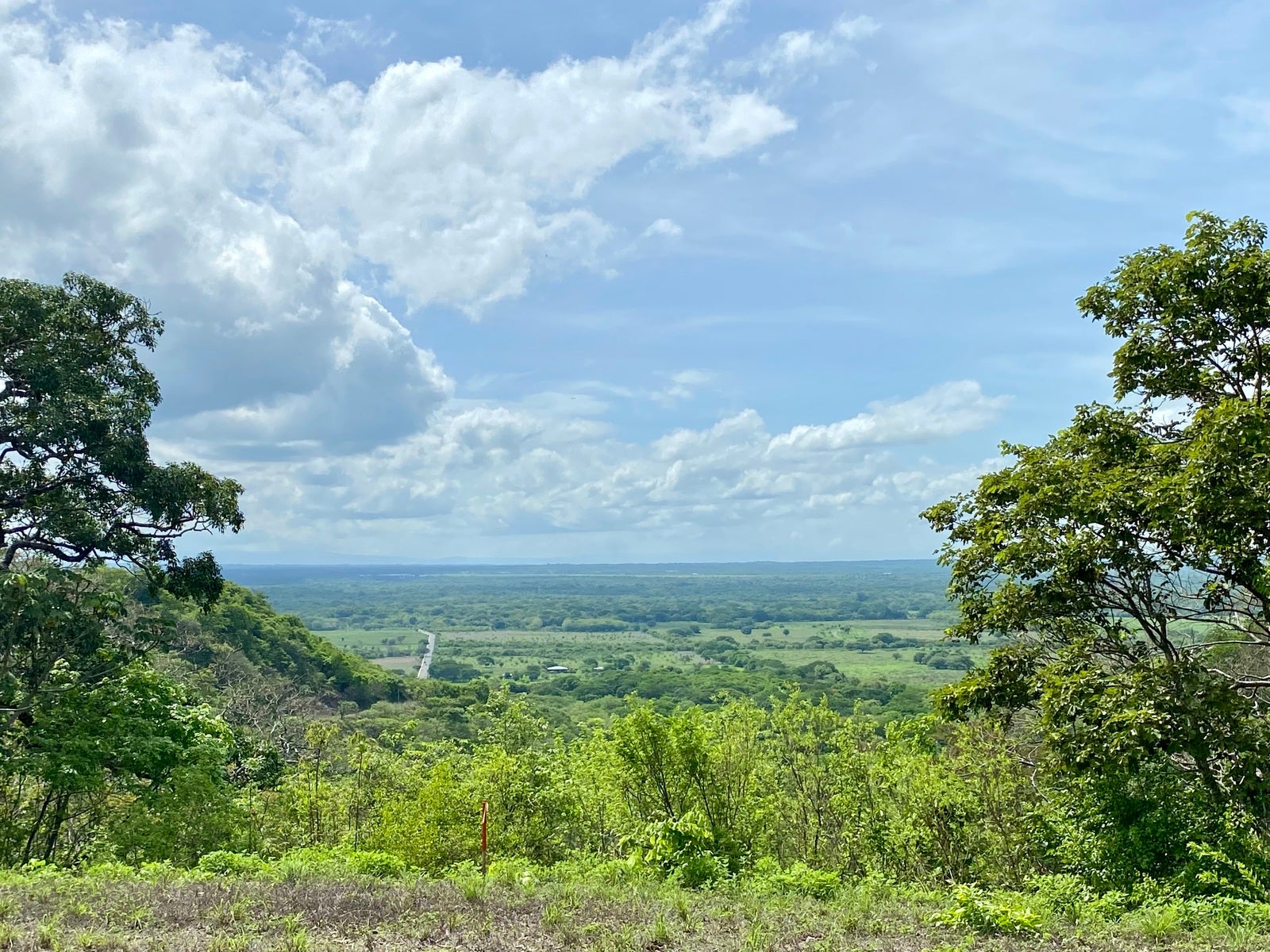 Altos Los Robles Community, #44 — foto 5 de 19
