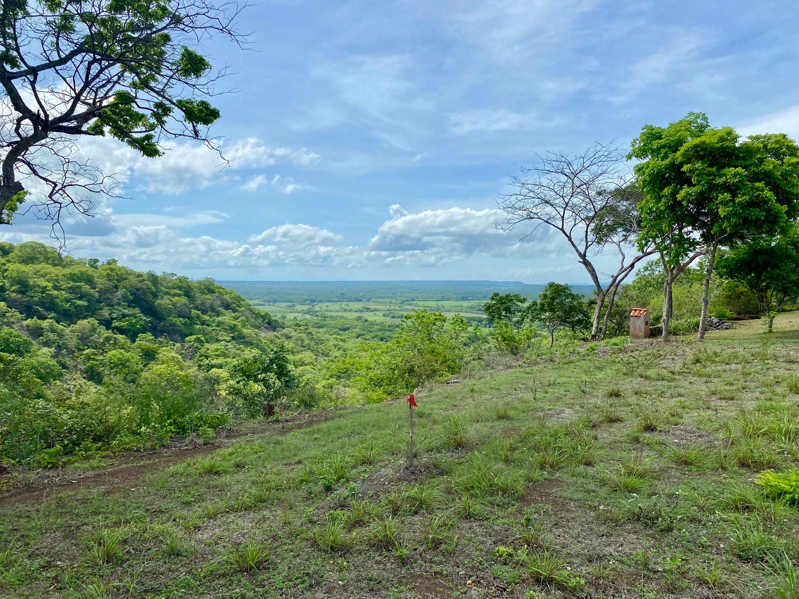 Altos Los Robles Community, #44 — foto 7 de 19
