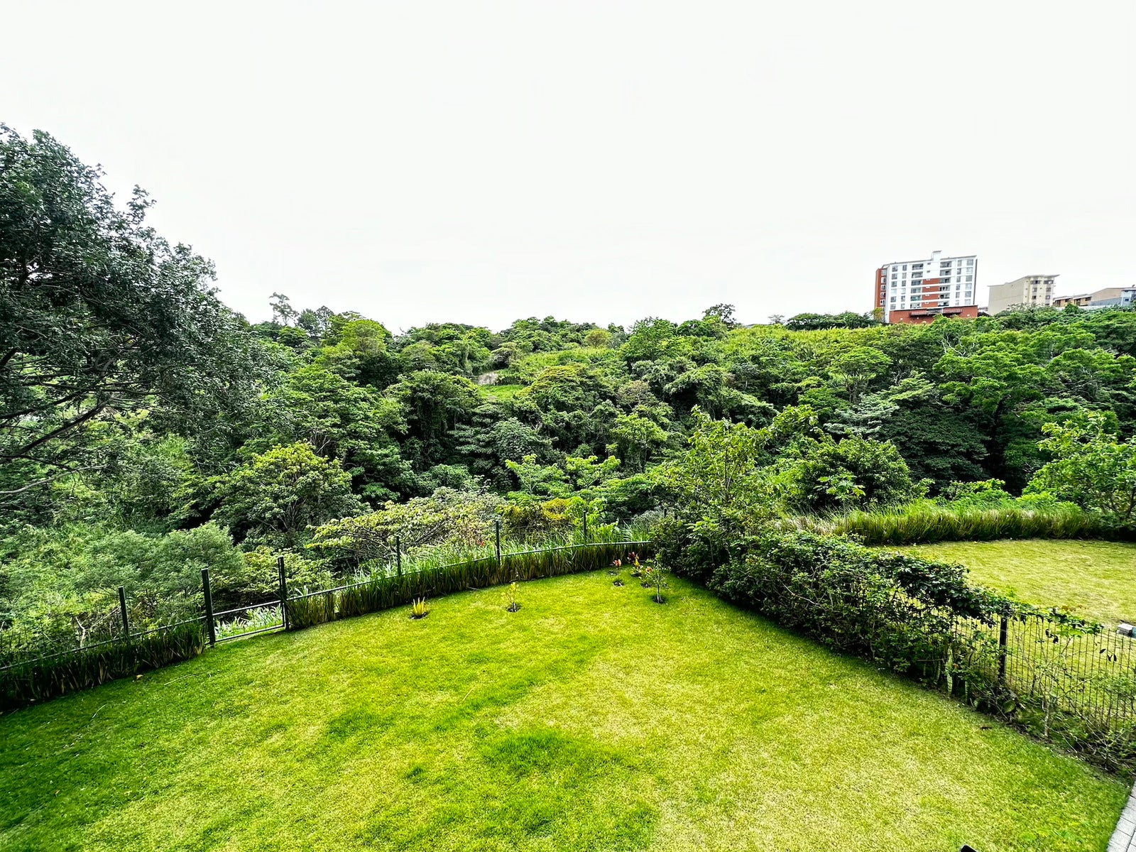 Condominium  Paradisus — photo 8 of 19