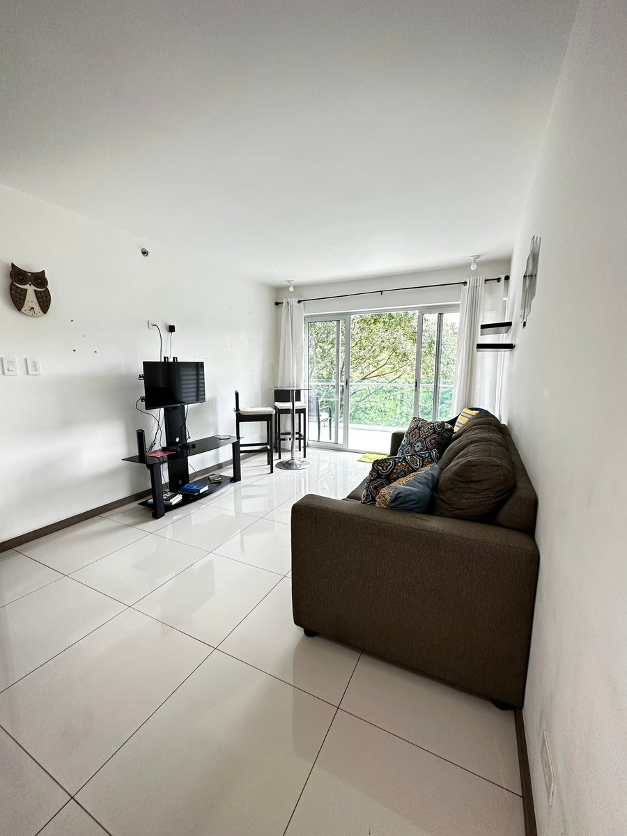Condominium  Paradisus — photo 4 of 19