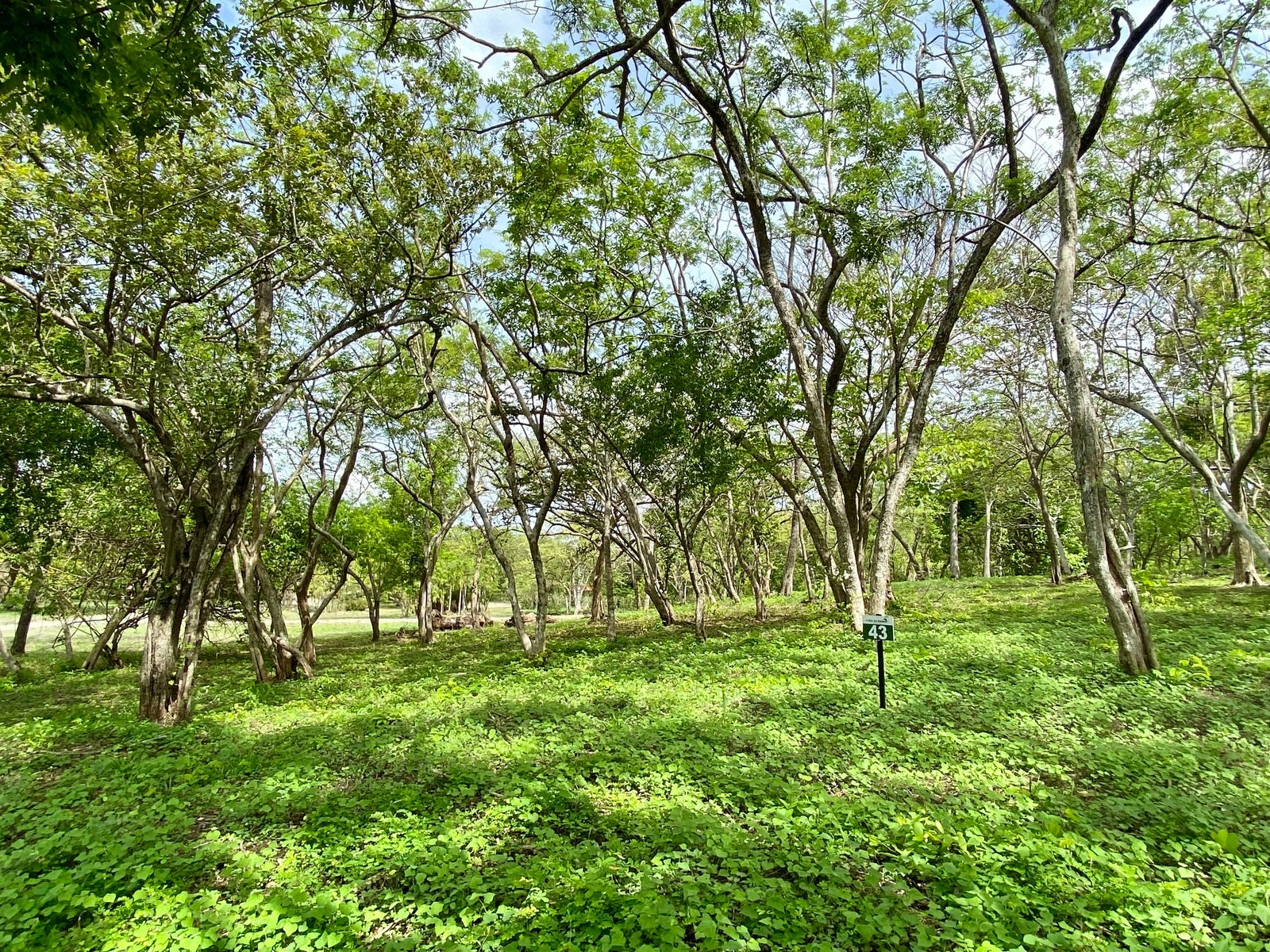 Altos Los Robles Community, #78 — foto 9 de 10