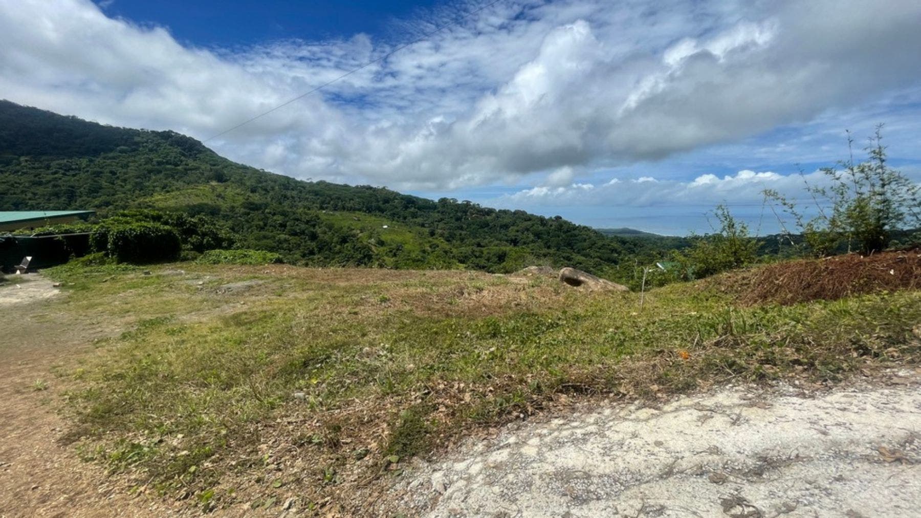 Whales Tail View Land — photo 11 of 11