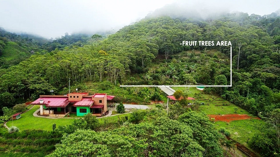 Beautiful Farm with Modern House and Waterfalls, Perez Zeledon, San Pedro, Perez Zeledon, San Jose, Costa Rica 11901 — photo 4 of 5