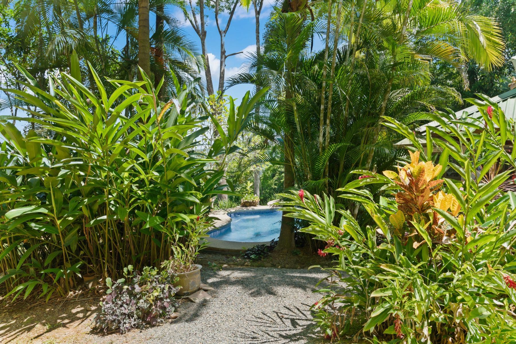 Lagunas Single Family House — photo 16 of 19