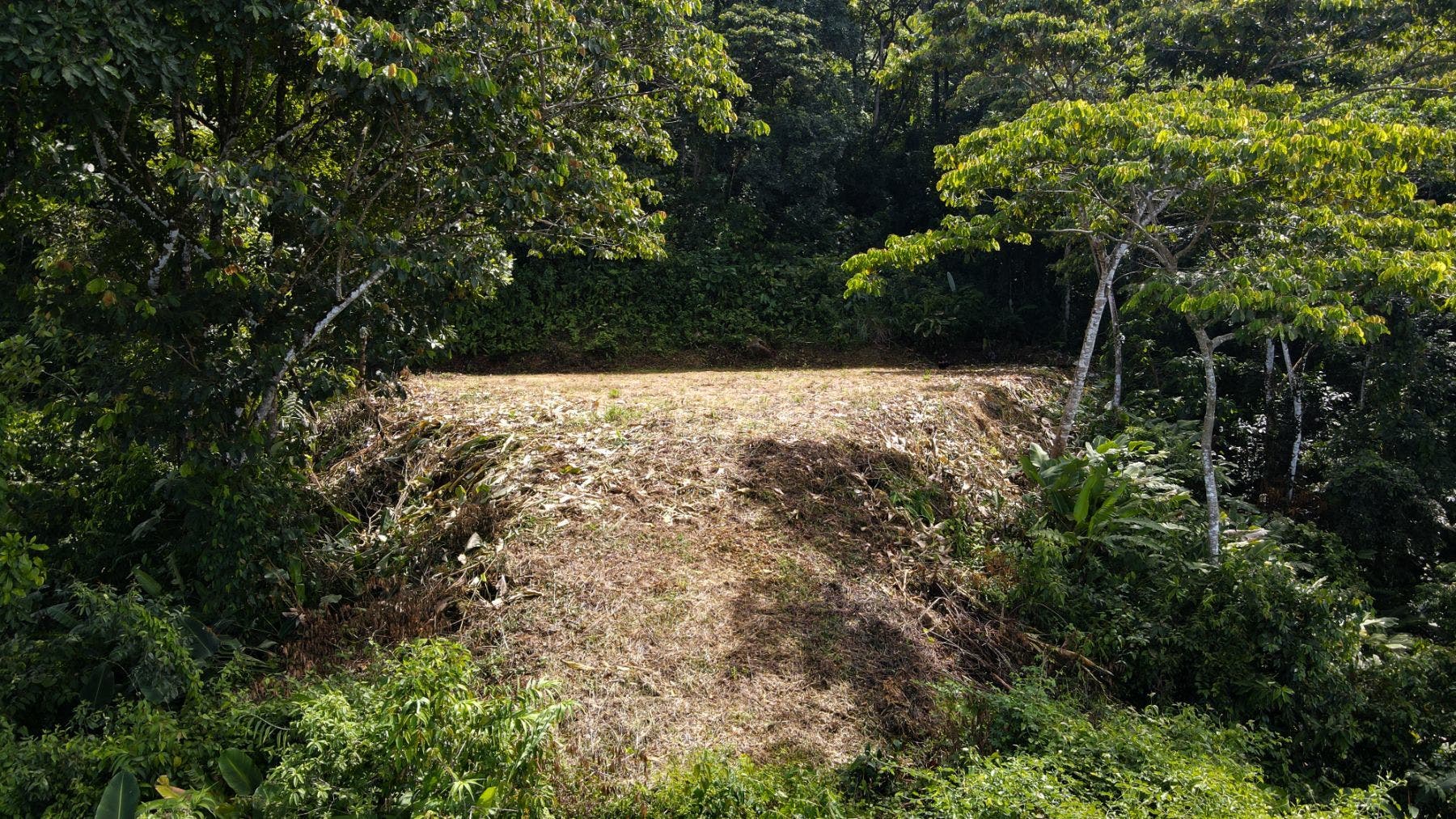 Costa Verde Estates Panoramic View Lot — photo 4 of 19