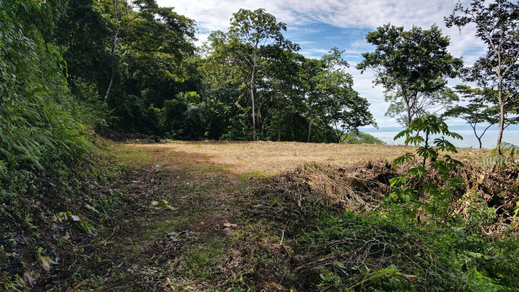 Costa Verde Estates Panoramic View Lot — photo 3 of 19