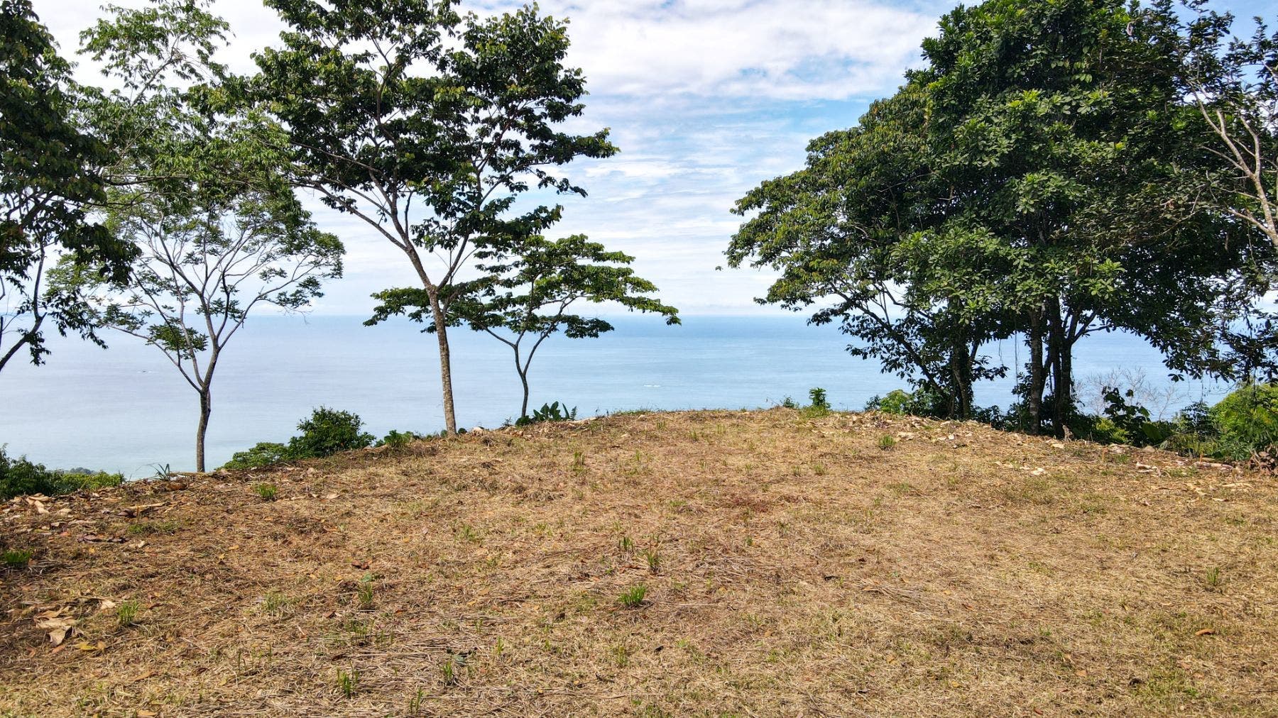 Costa Verde Estates Panoramic View Lot — photo 2 of 19