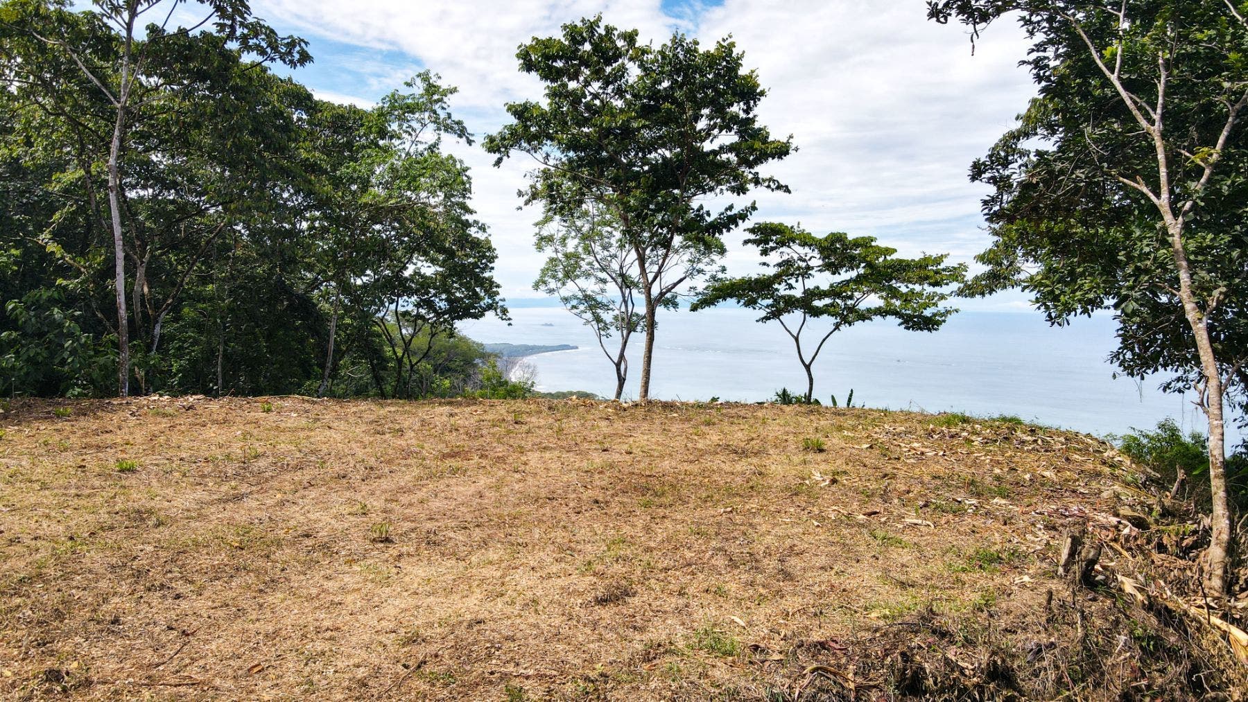 Costa Verde Estates Panoramic View Lot — photo 5 of 19