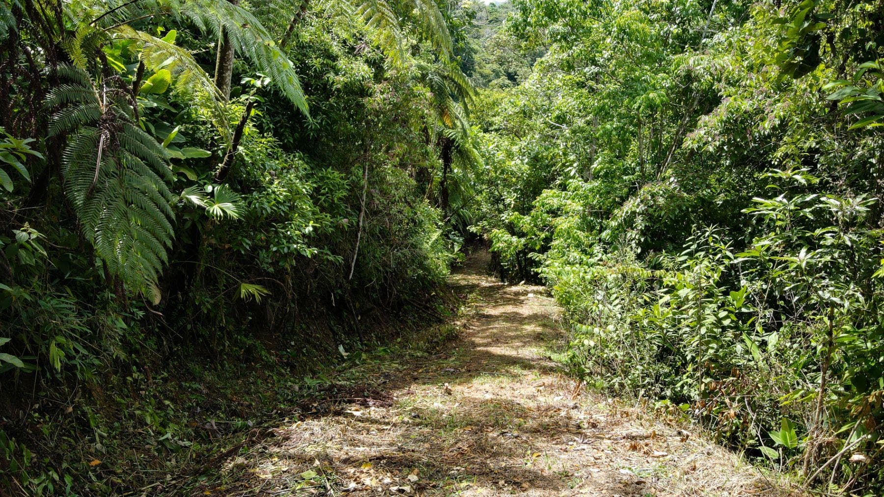 Costa Verde Estates Panoramic View Lot — photo 9 of 19