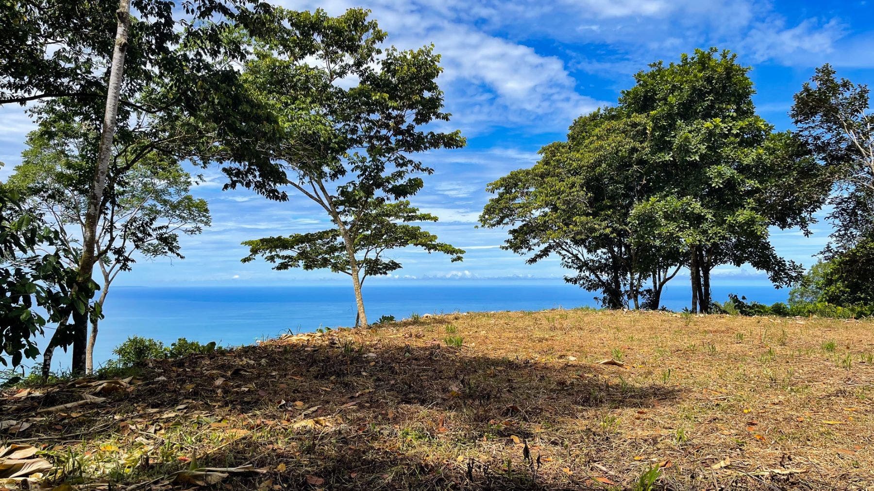 Costa Verde Estates Panoramic View Lot — photo 6 of 19