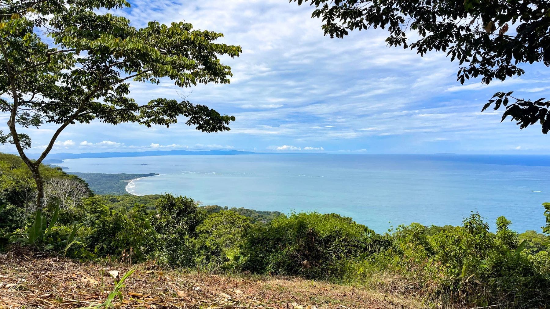 Costa Verde Estates Panoramic View Lot — photo 7 of 19