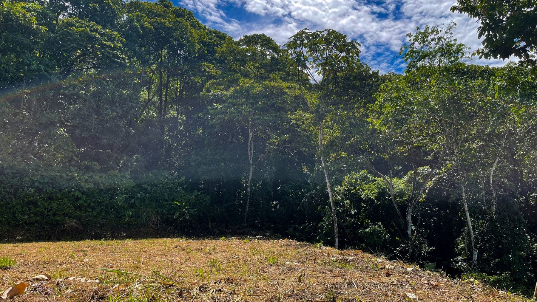 Costa Verde Estates Panoramic View Lot — photo 11 of 19