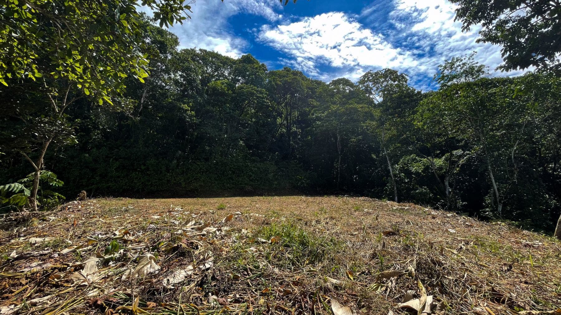 Costa Verde Estates Panoramic View Lot — photo 12 of 19