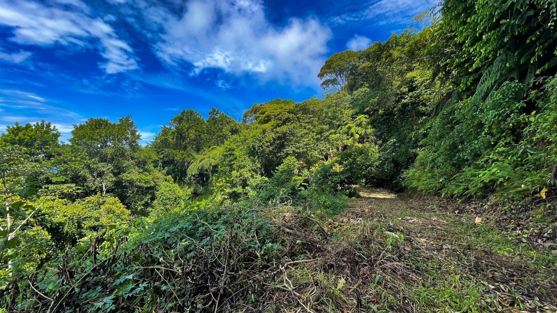 Costa Verde Estates Panoramic View Lot — photo 13 of 19