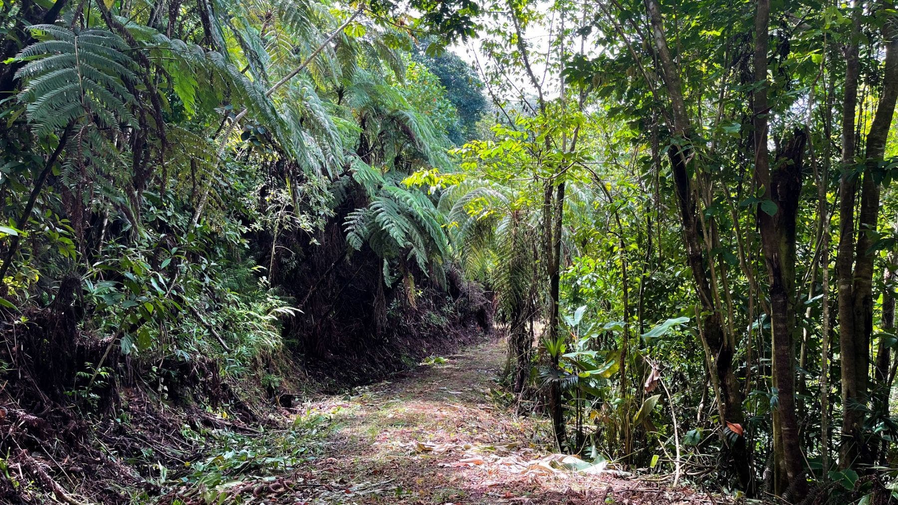 Costa Verde Estates Panoramic View Lot — photo 14 of 19