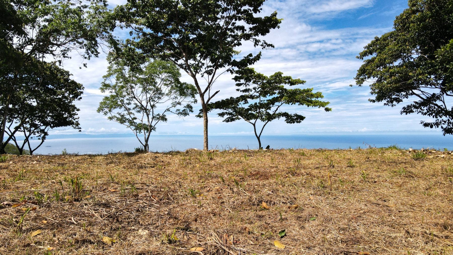 Costa Verde Estates Panoramic View Lot — photo 8 of 19
