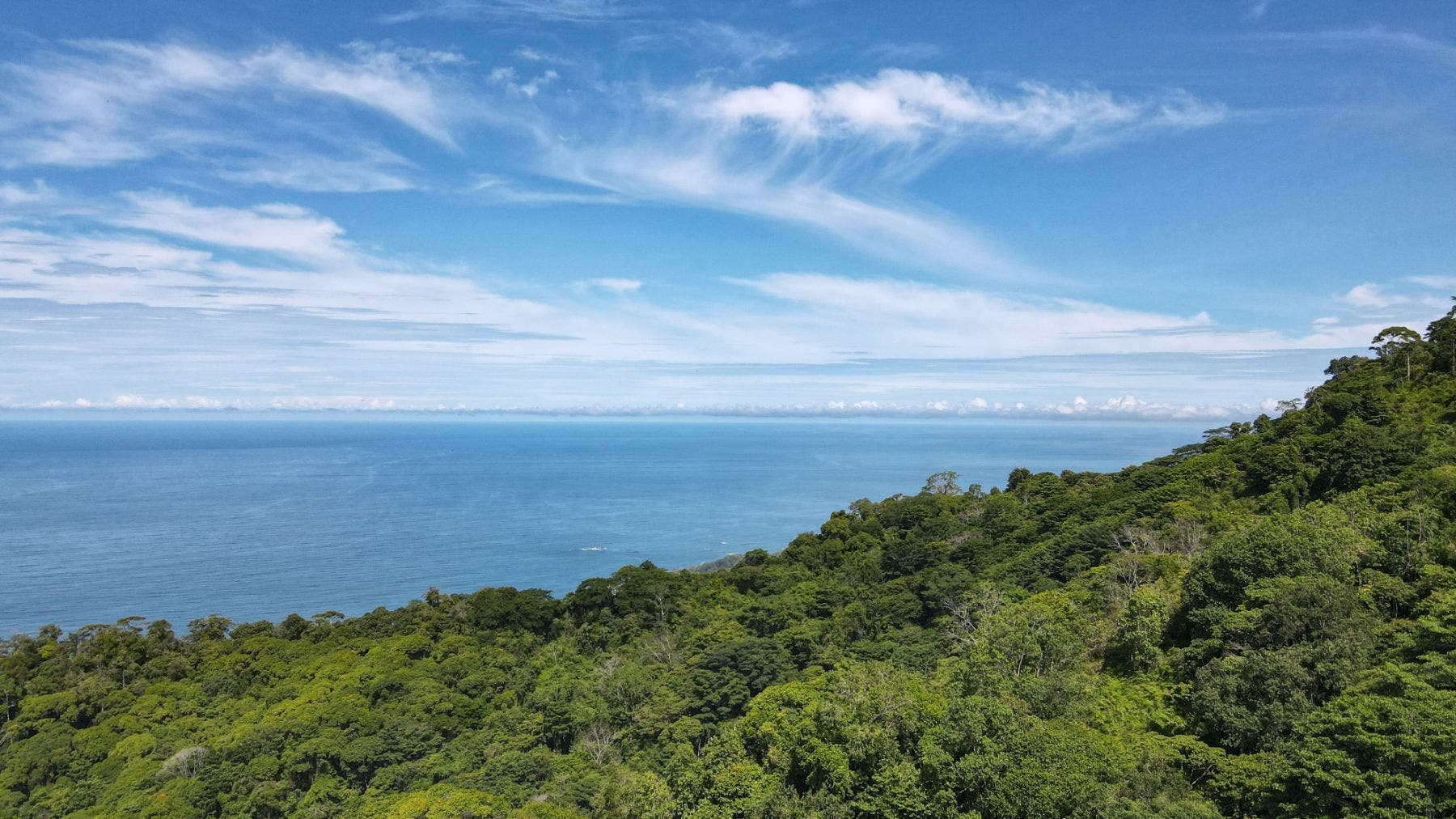 Costa Verde Estates Panoramic View Lot — photo 16 of 19