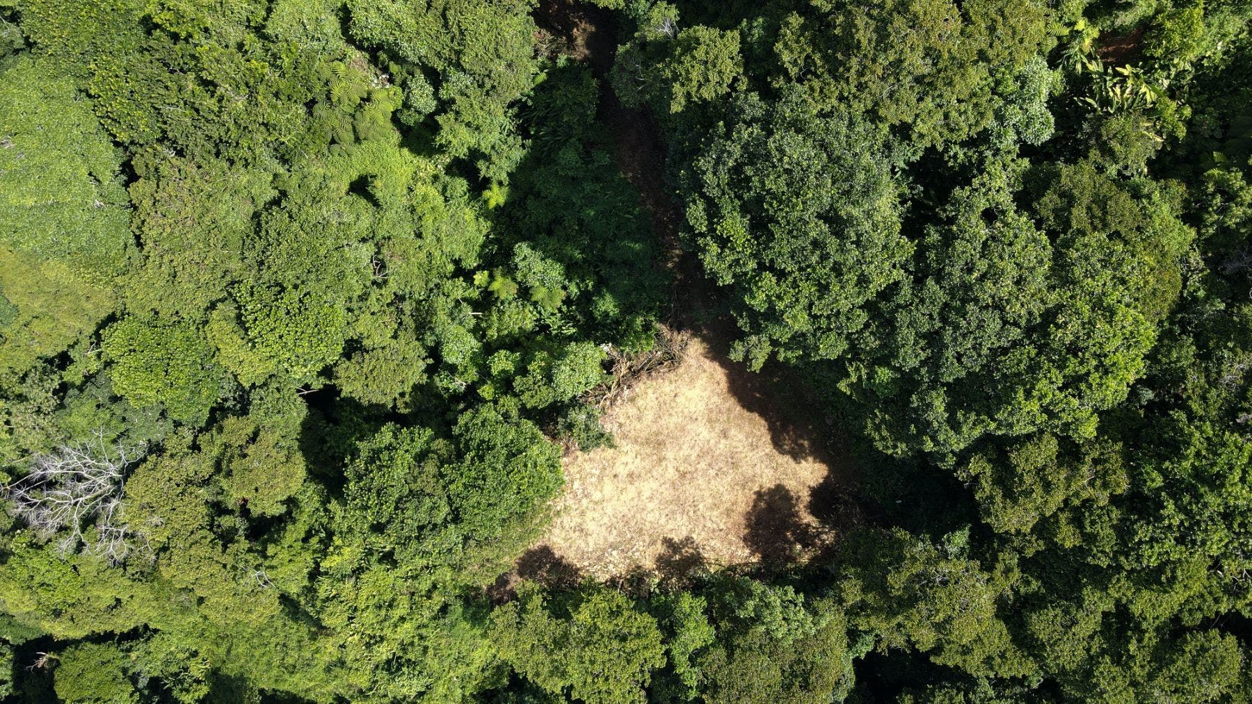 Costa Verde Estates Panoramic View Lot — photo 17 of 19