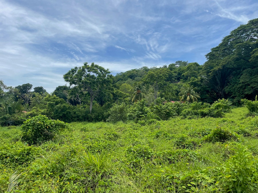 Property photo for Prime Santa Teresa Developemnt Lot , Santa Teresa, Cobano, Puntarenas, Puntarenas, Costa Rica