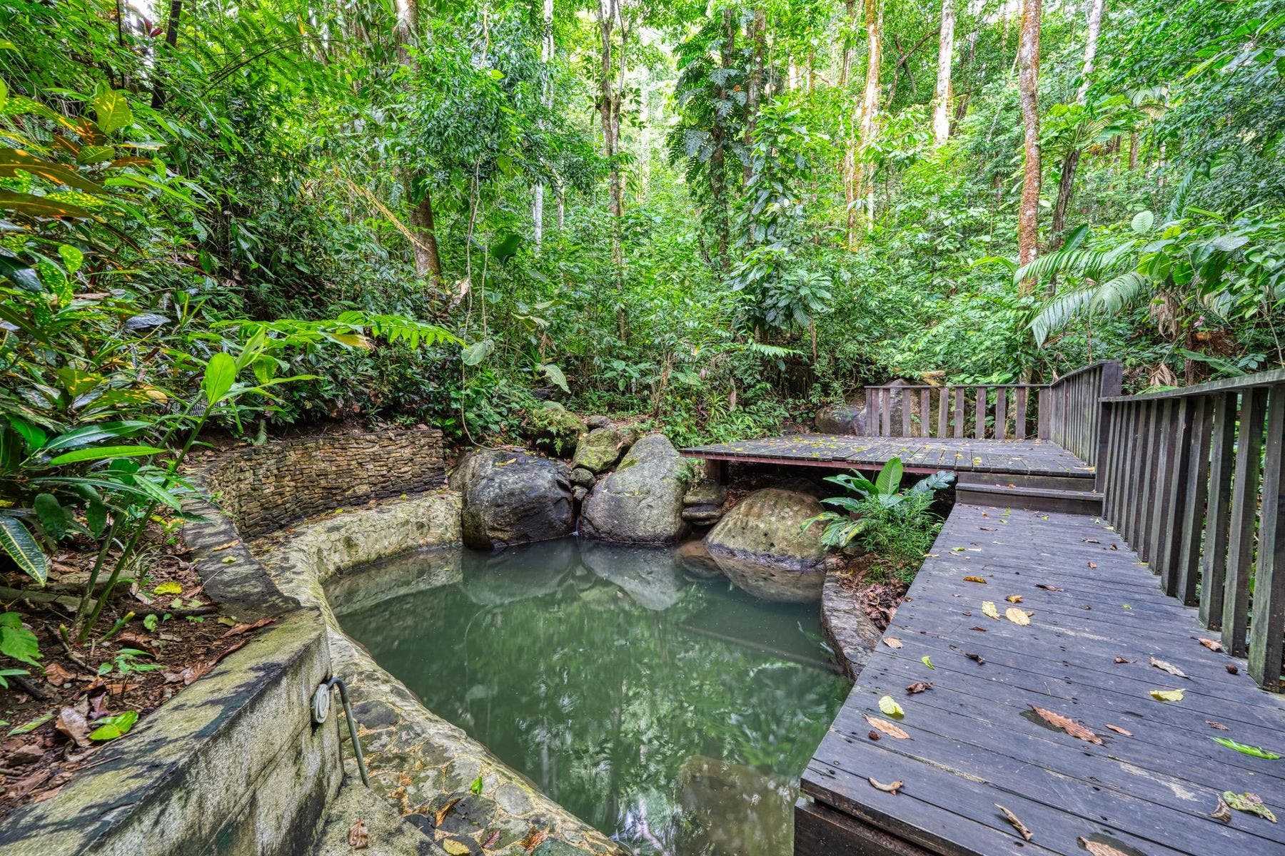 Unique Mountain Retreat Center, Tinamastes, Tinamastes, Perez Zeledon, Perez Zeledon, San Jose, Costa Rica 11909