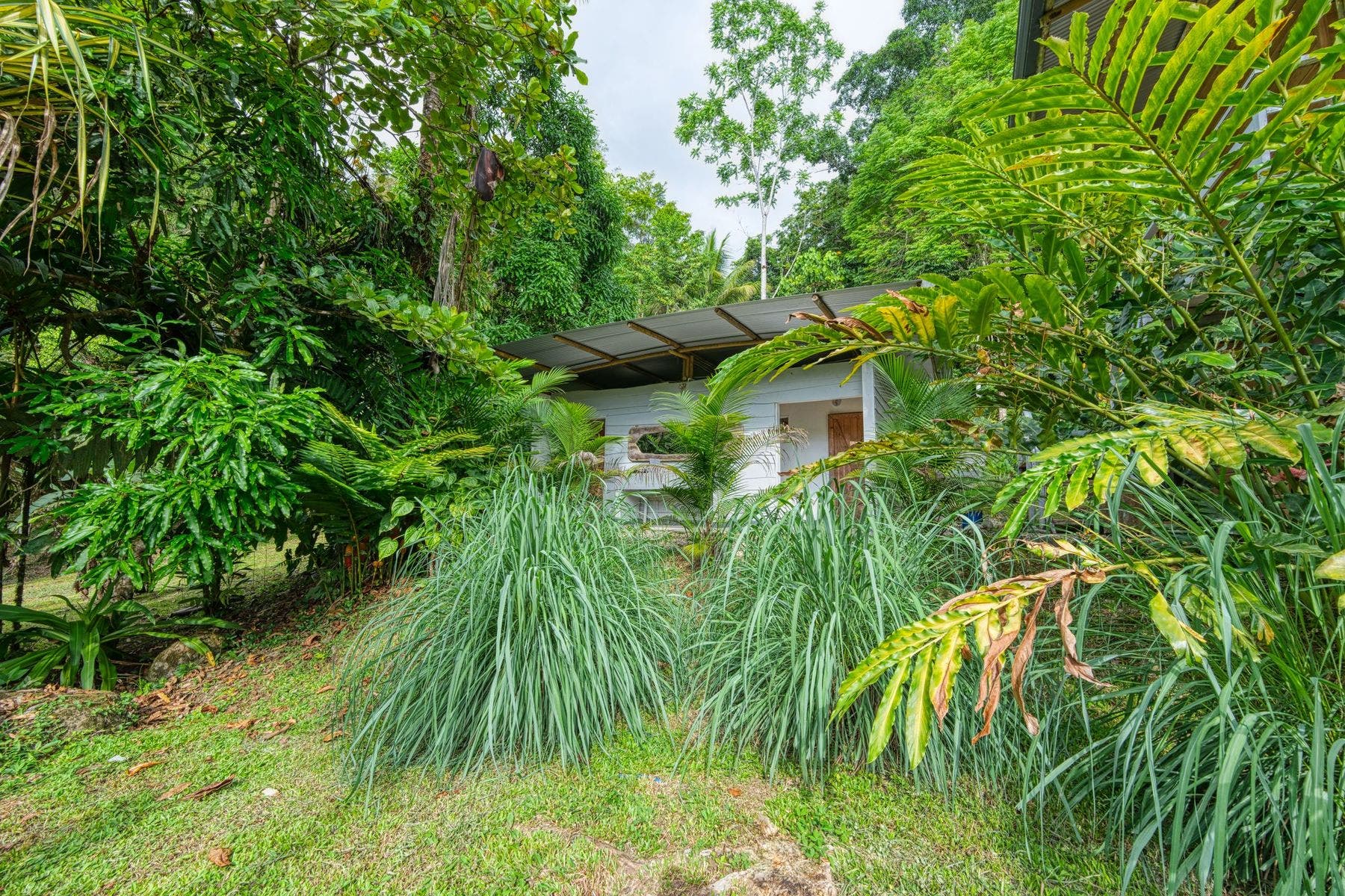 Unique Mountain Retreat Center, Tinamastes, Tinamastes, Perez Zeledon, Perez Zeledon, San Jose, Costa Rica 11909