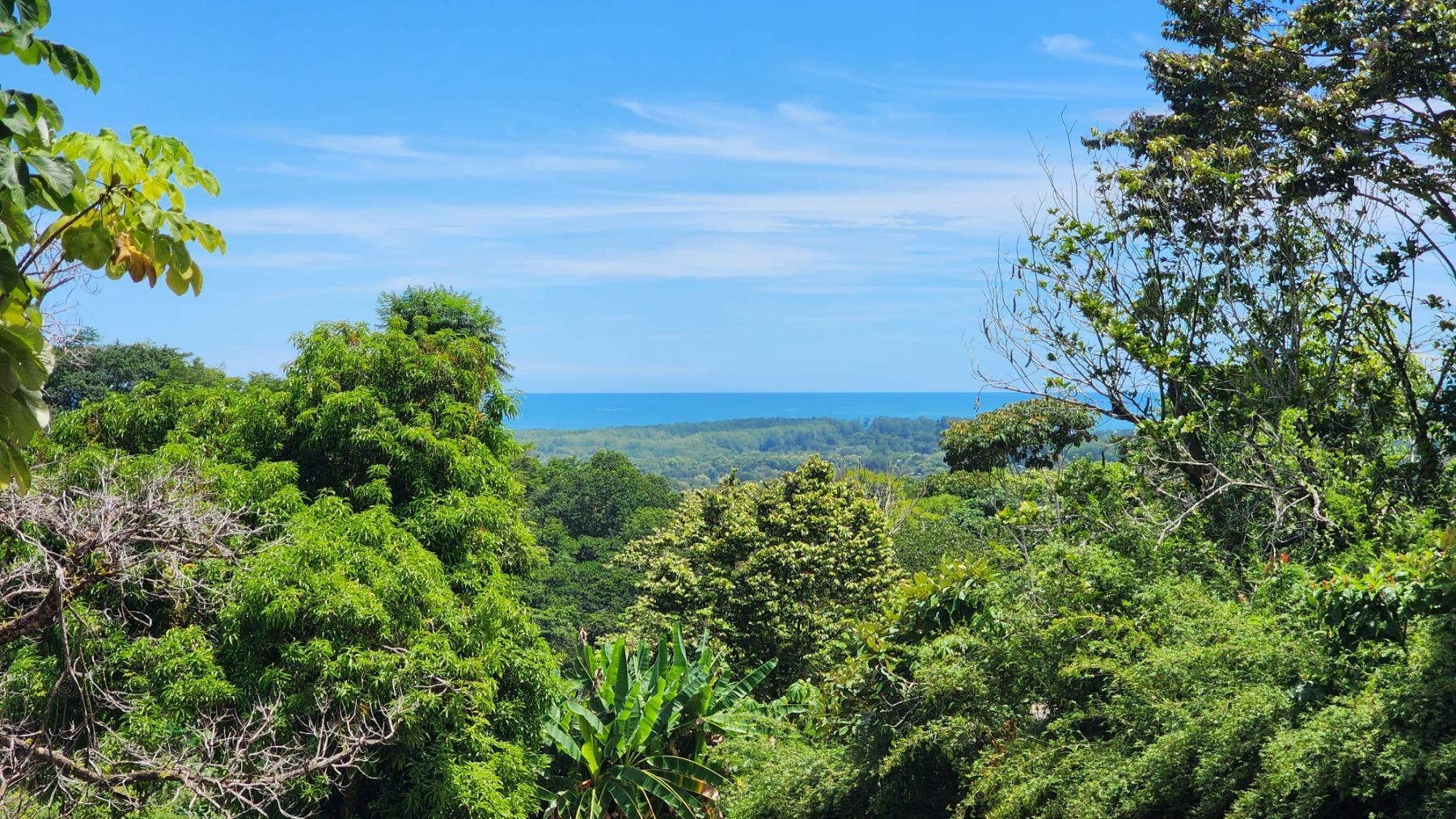 Ocean View Lot in the Southern Zone — photo 2 of 8