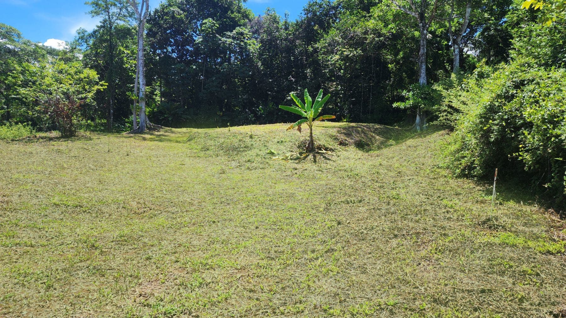 Ocean View Lot in the Southern Zone — photo 5 of 8