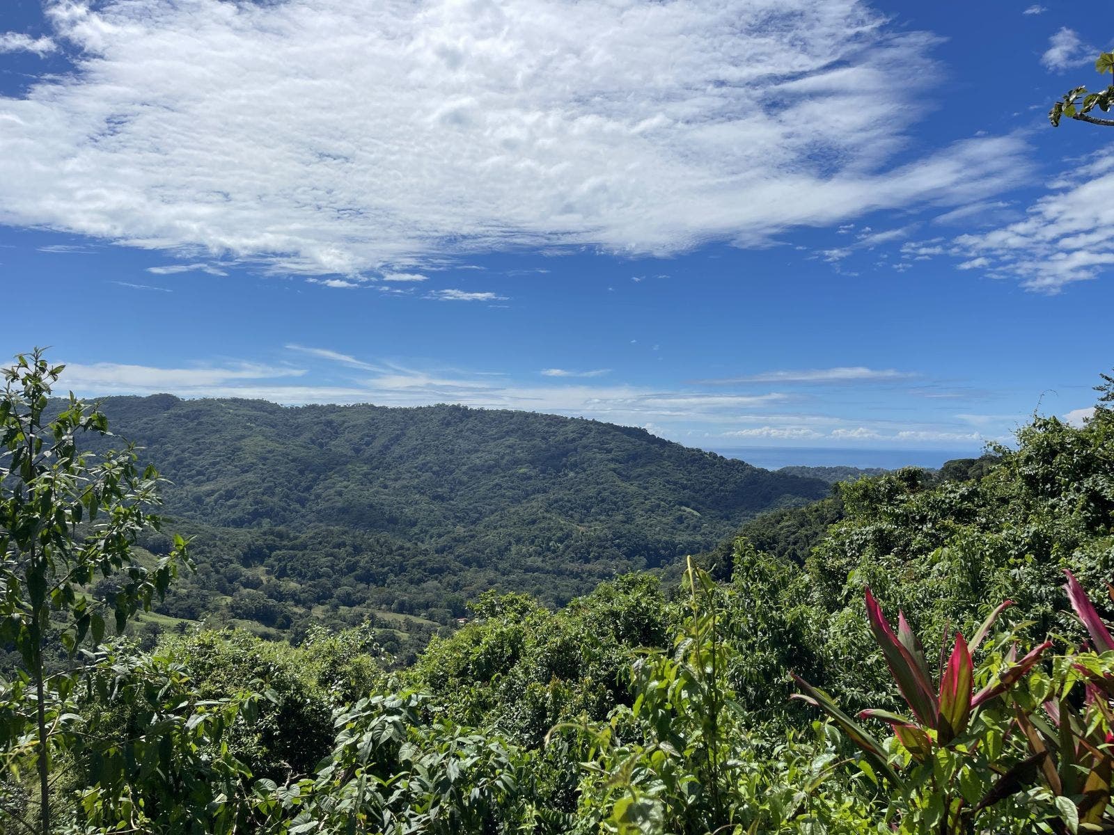 Stunning Mountain Property with Ocean Views — photo 3 of 19
