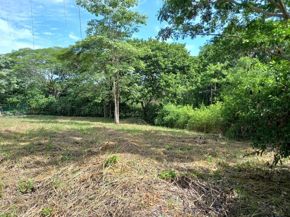 Valley View Lot near Hermosa, Santiago, Santiago, Santa Teresa, Cobano, Puntarenas, Puntarenas, Costa Rica 60111 Valley View Lot near Hermosa, Santiago, Santiago, Santa Teresa, Cobano, Puntarenas, Puntarenas, Costa Rica 60111