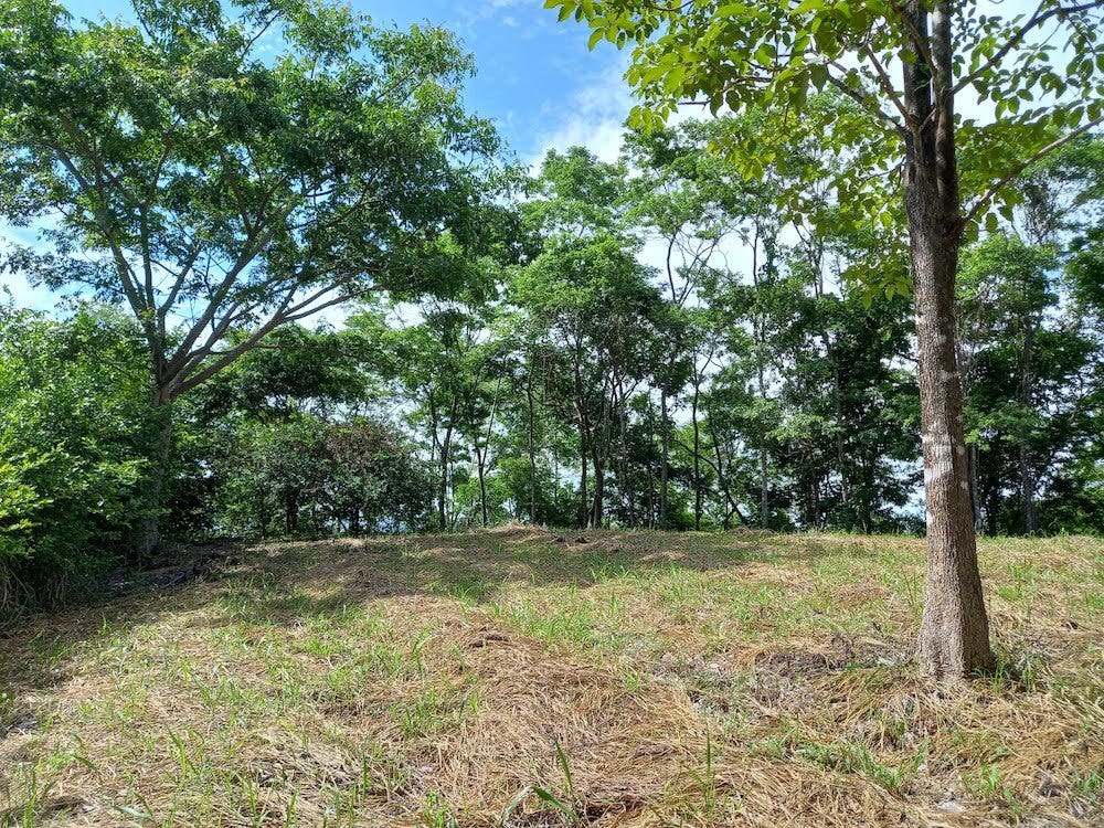 Valley View Lot near Hermosa, Santiago, Santiago, Santa Teresa, Cobano, Puntarenas, Puntarenas, Costa Rica 60111 Valley View Lot near Hermosa, Santiago, Santiago, Santa Teresa, Cobano, Puntarenas, Puntarenas, Costa Rica 60111