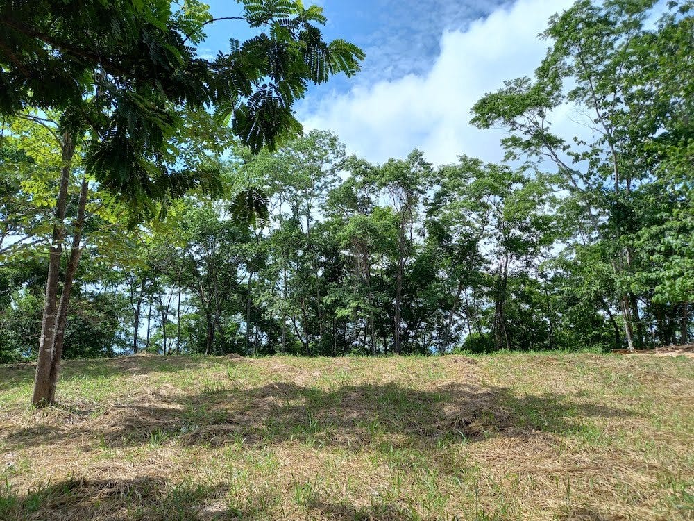 Valley View Lot near Hermosa, Santiago, Santiago, Santa Teresa, Cobano, Puntarenas, Puntarenas, Costa Rica 60111 Valley View Lot near Hermosa, Santiago, Santiago, Santa Teresa, Cobano, Puntarenas, Puntarenas, Costa Rica 60111