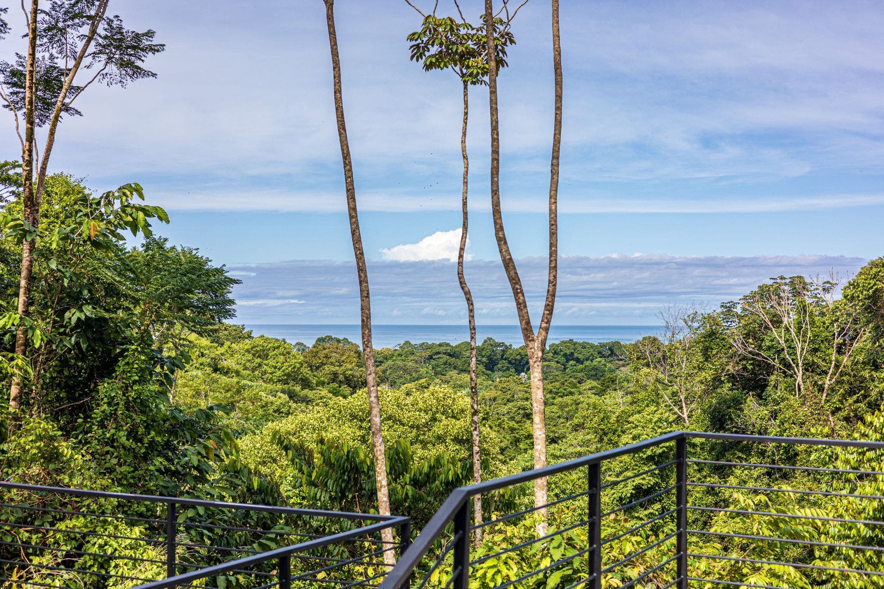 Residential Luxury Gem — photo 13 of 19