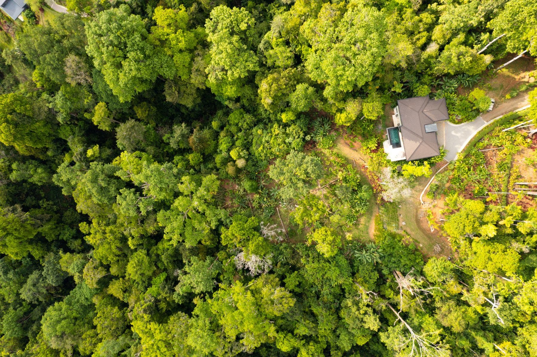 Prime Location Lot — photo 9 of 10