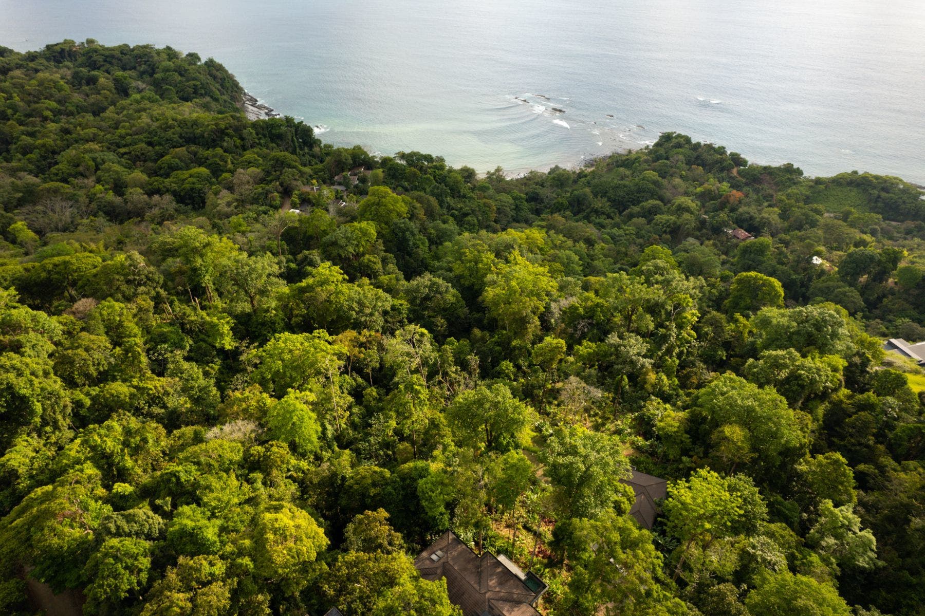 Prime Location Lot — photo 3 of 10
