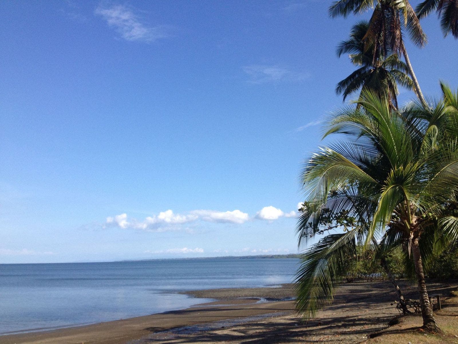 Large Farm with Golfo Dulce View — photo 2 of 12