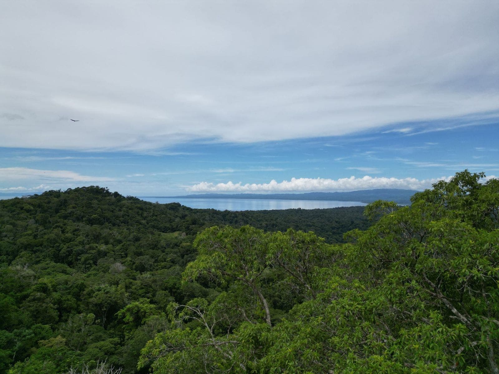 Large Farm with Golfo Dulce View, Golfito, Golfito, Osa, Puntarenas, Costa Rica 60702