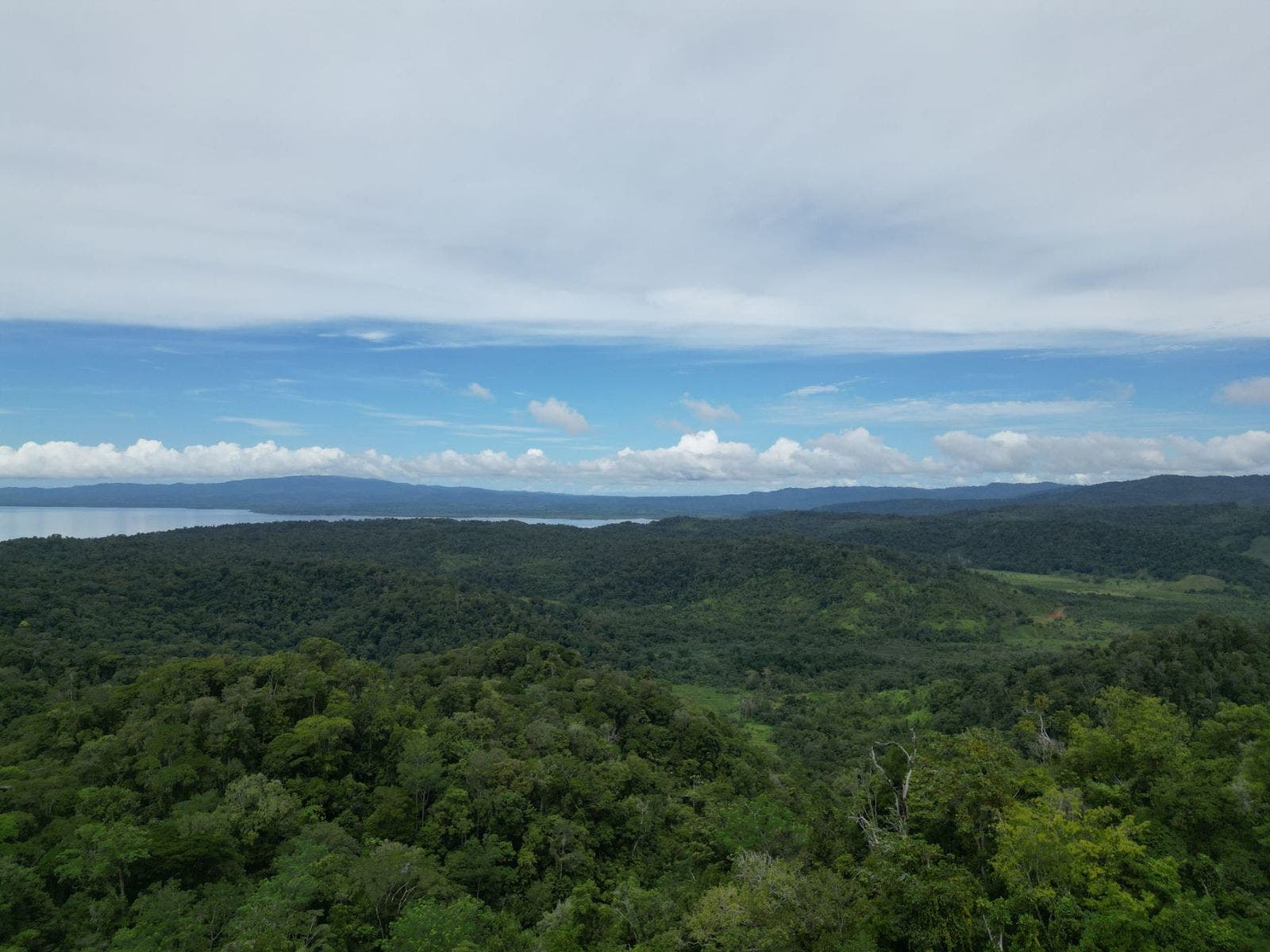 Large Farm with Golfo Dulce View — photo 3 of 12