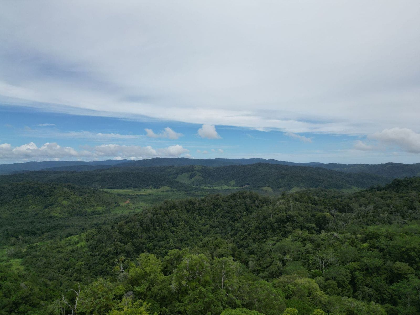 Large Farm with Golfo Dulce View — photo 5 of 12