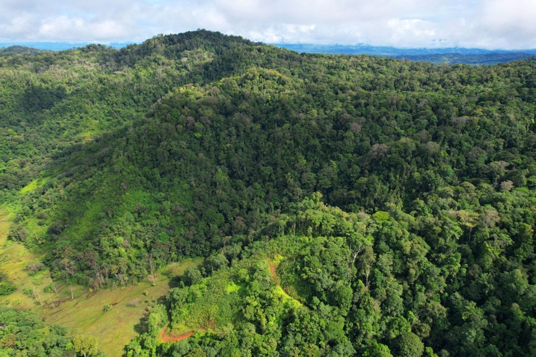 Large Farm with Golfo Dulce View — photo 11 of 12