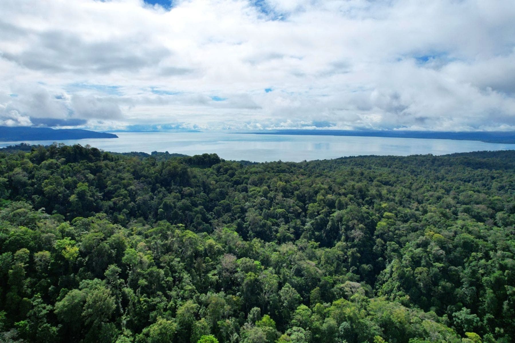 Large Farm with Golfo Dulce View — photo 12 of 12