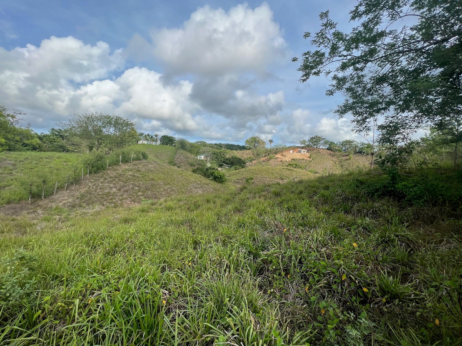 Commercial And Development Land in San Isidro — foto 4 de 8