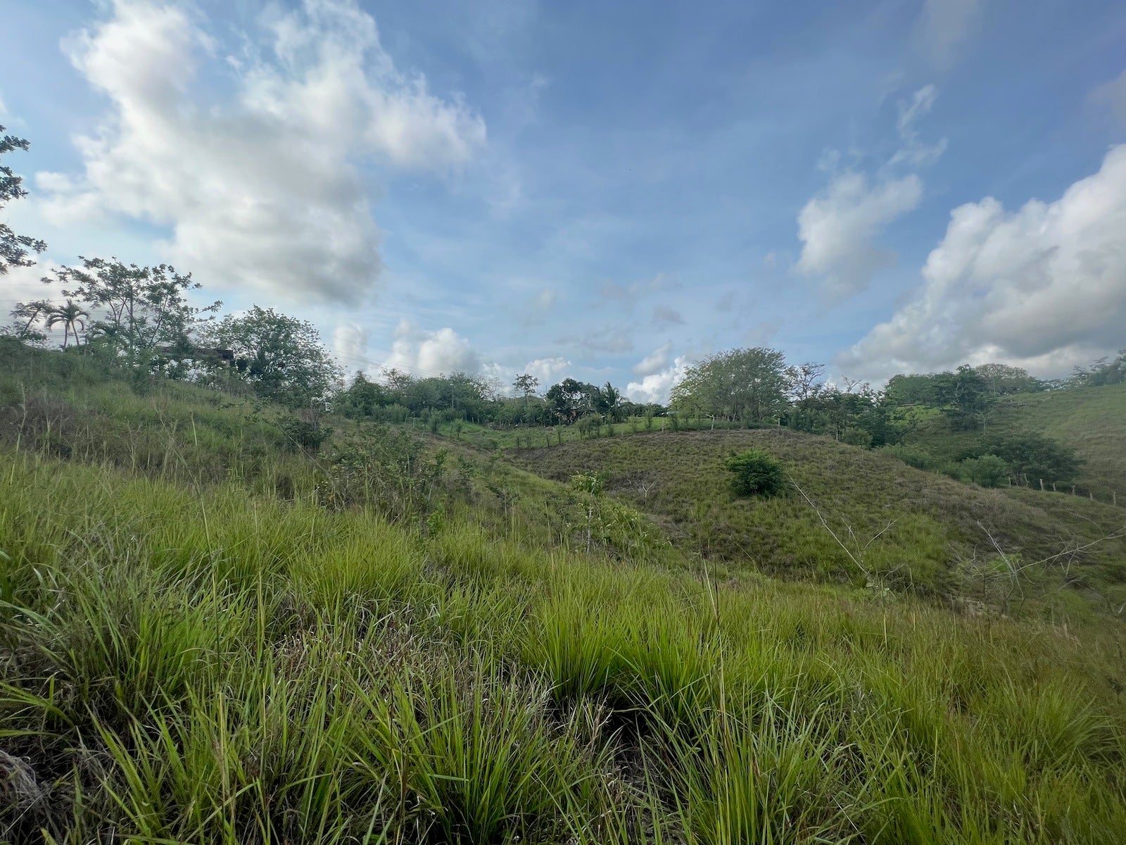 Commercial And Development Land in San Isidro — foto 8 de 8