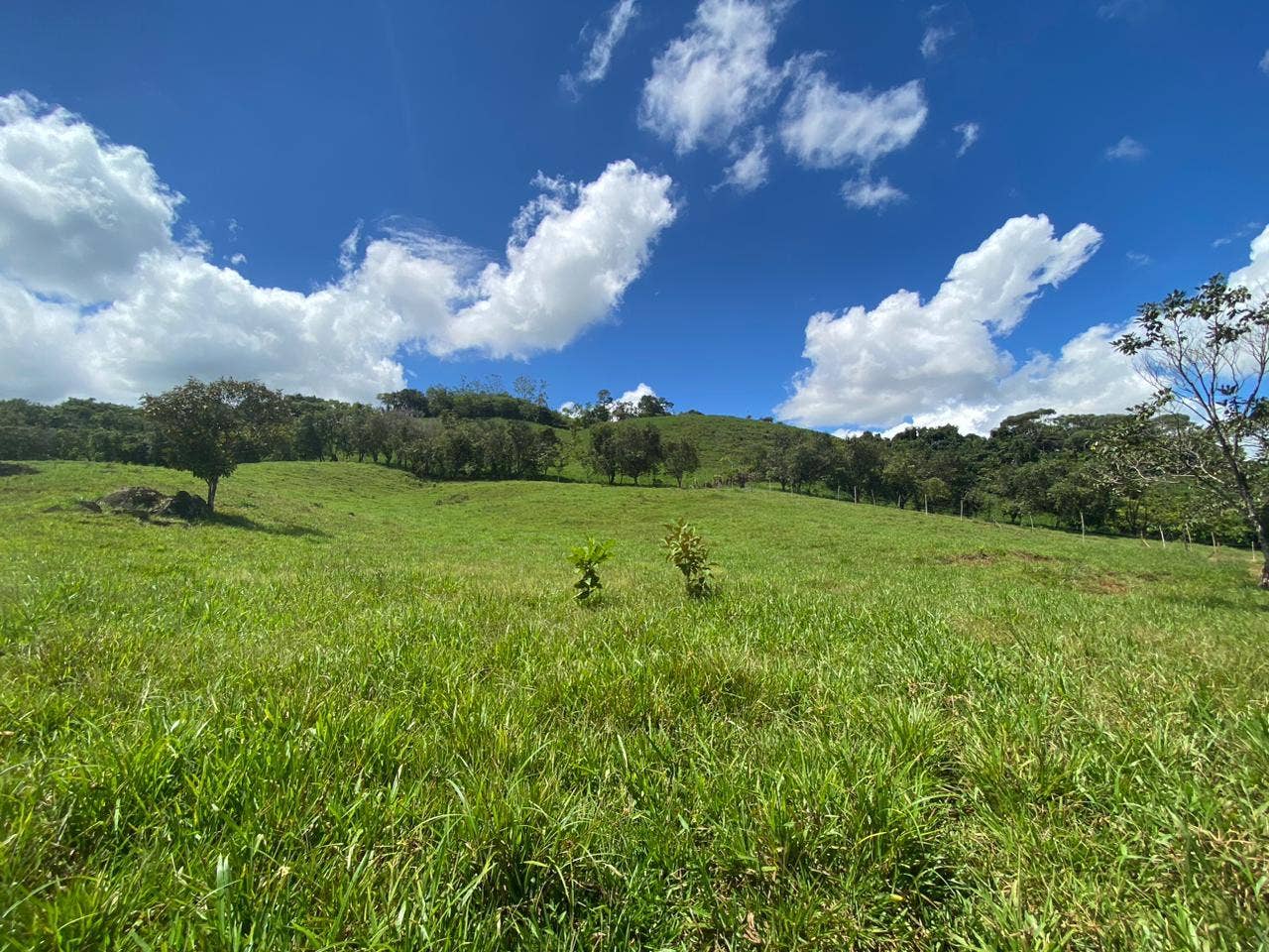 32 Acre Mountain View Farm — photo 2 of 16