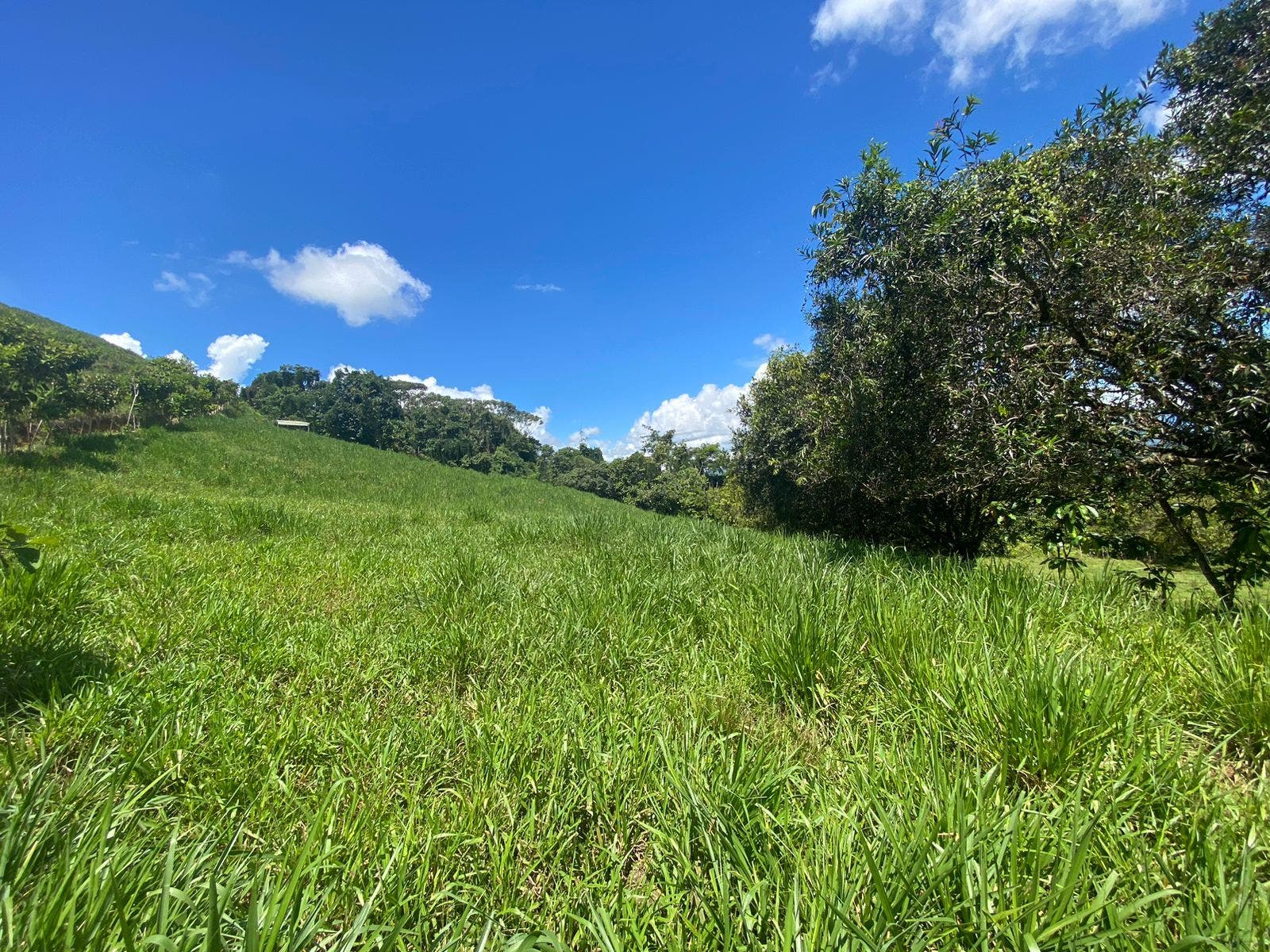 32 Acre Mountain View Farm — photo 4 of 16