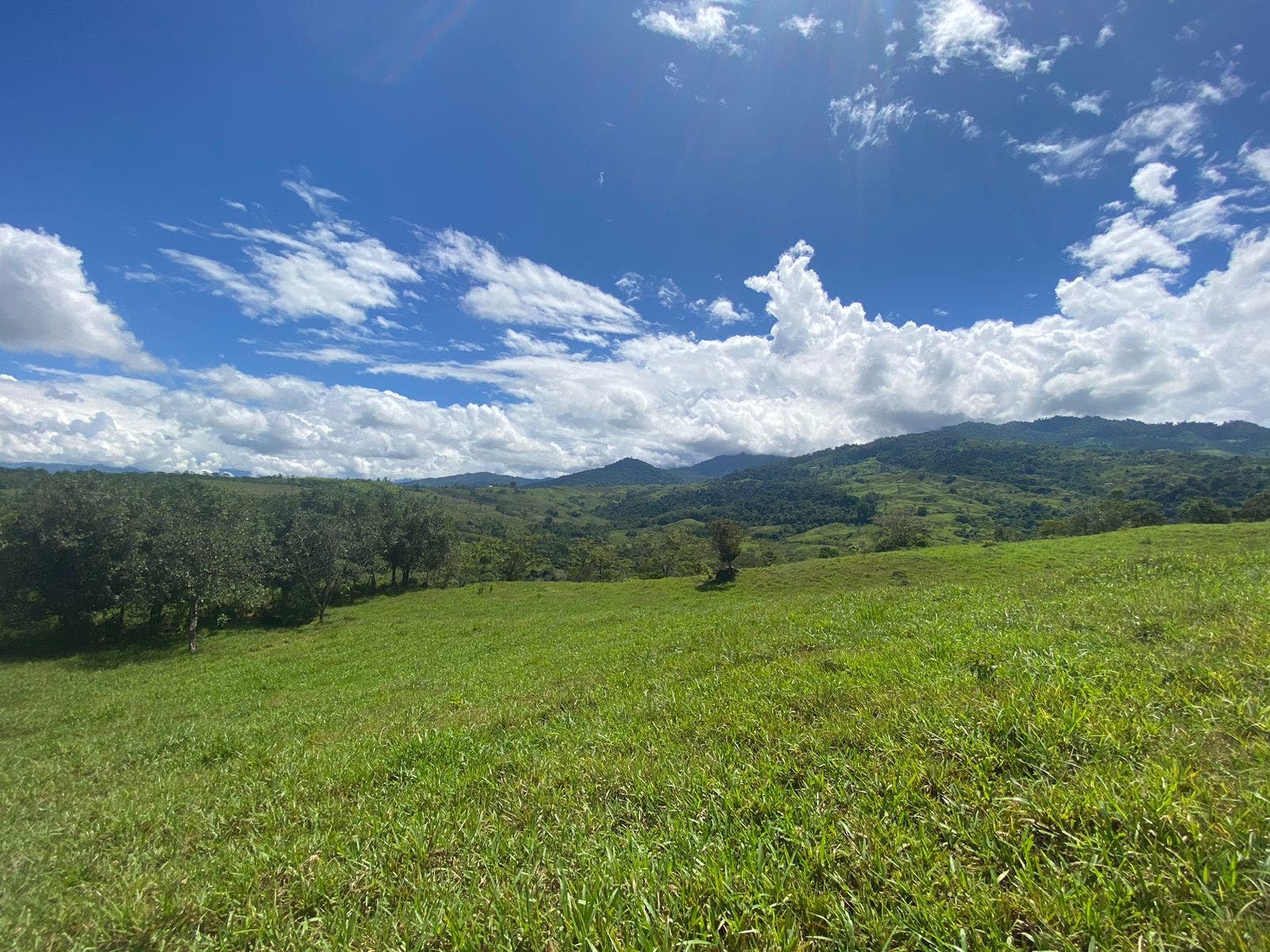 32 Acre Mountain View Farm — photo 6 of 16