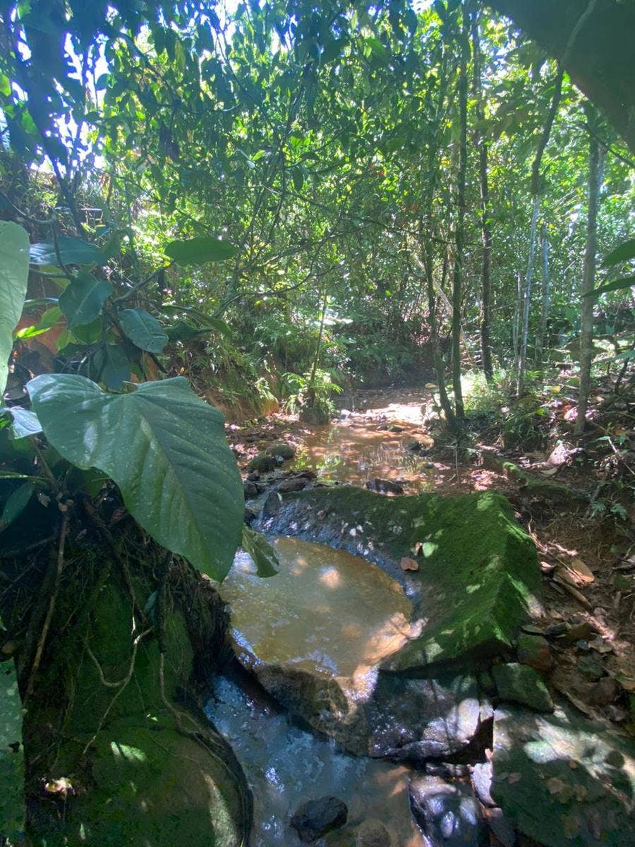 32 Acre Mountain View Farm — photo 10 of 16