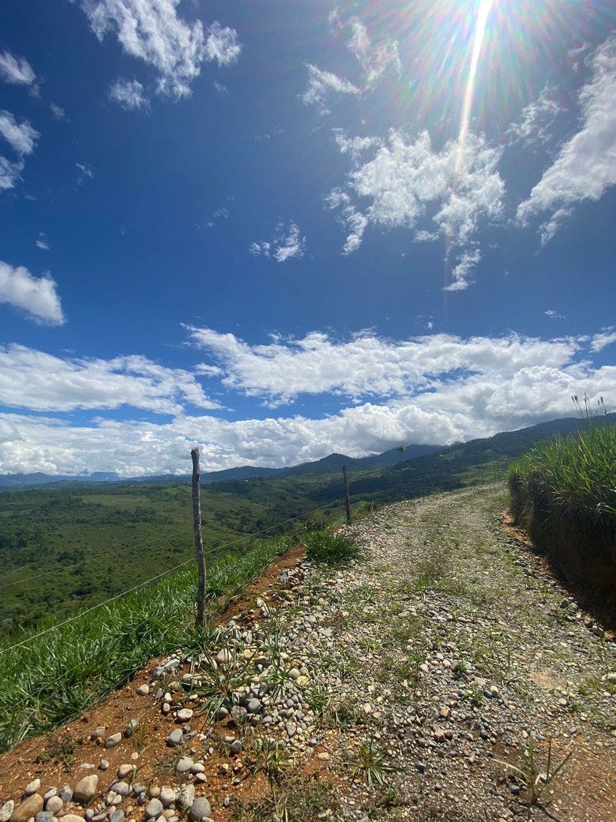 32 Acre Mountain View Farm — photo 14 of 16