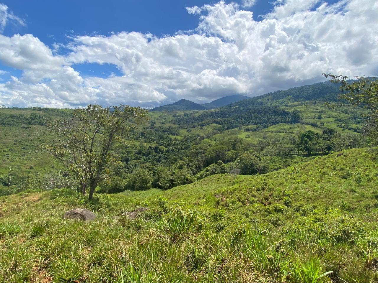 32 Acre Mountain View Farm — photo 15 of 16